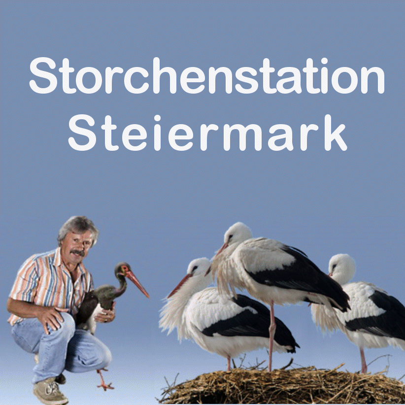 Storchenstation Steiermark